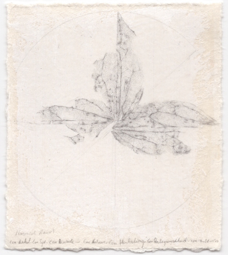 Nature study - 18-20/10/'17